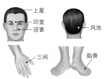 鼻塞、打鼾等鼻子問題的防治